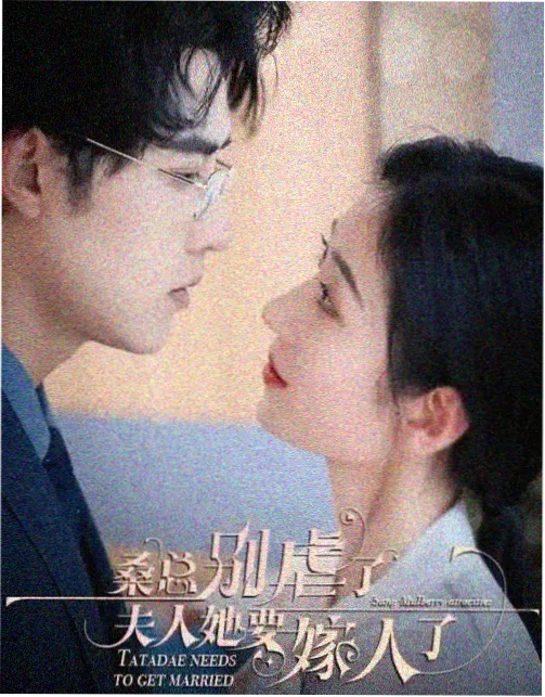 山河故人 中国电视剧 2016